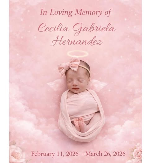 Cecilia Gabriela Hernandez, TX, Obituary, Death: In Loving Memory of Cecilia Gabriela Hernandez